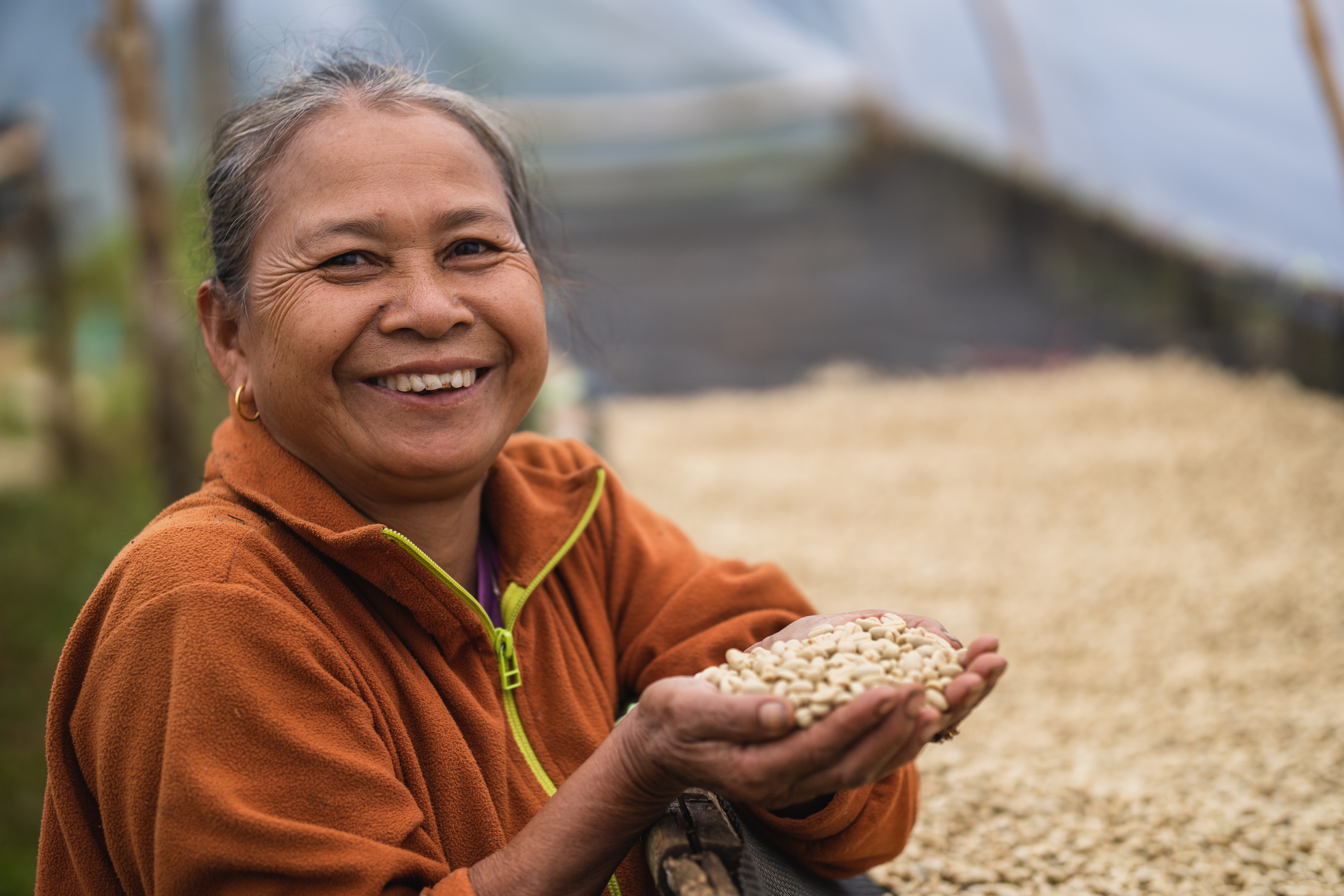 Drying coffee Mrs Wandee Nongluang village_Zens (4)